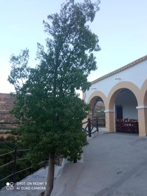 Cortijocueva Con Encanto Natural Terque エクステリア 写真